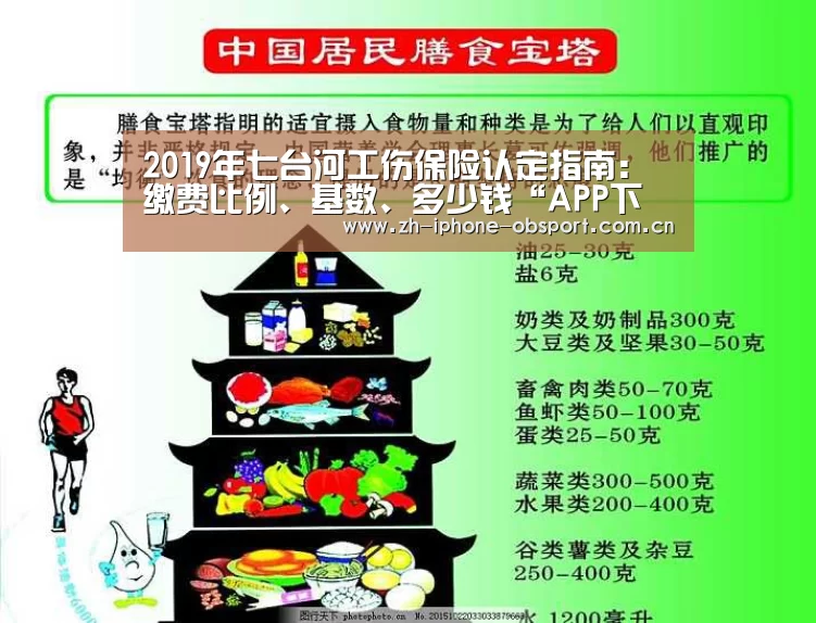 官方应用