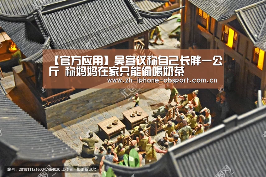 APP下载