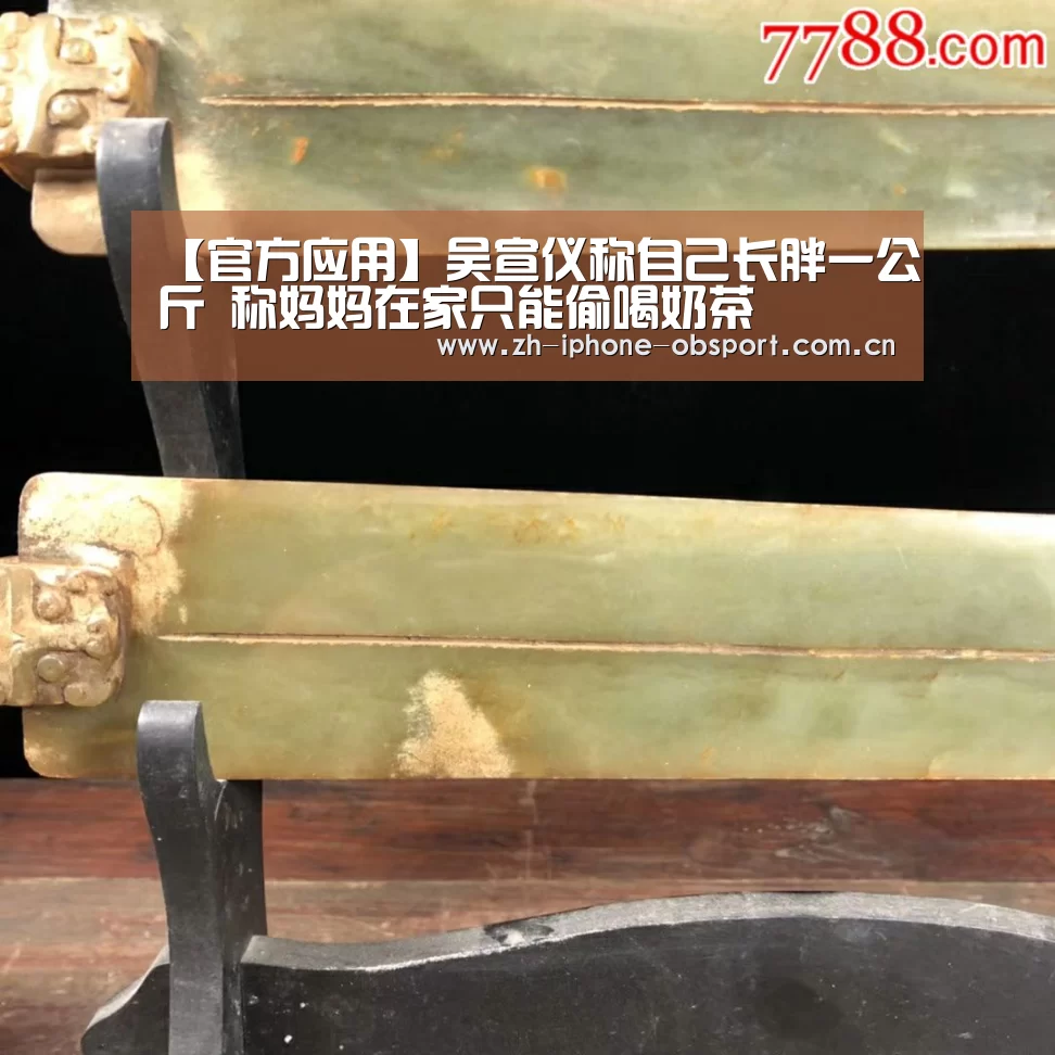 官方应用