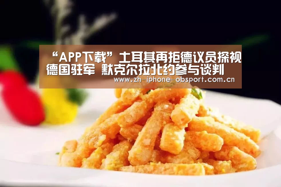 APP下载
