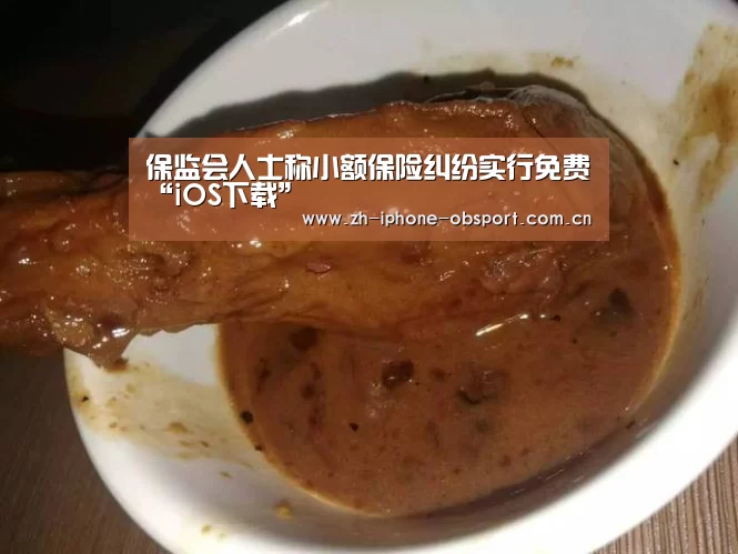 保监会人士称小额保险纠纷实行免费“iOS下载”(图2) 欧宝体育APP