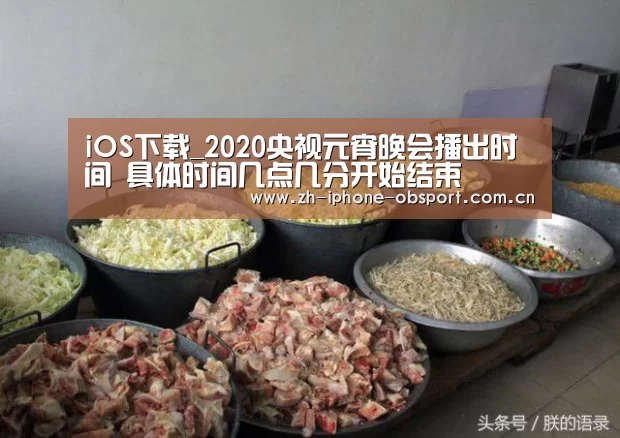 iOS下载