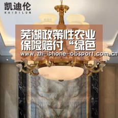 iOS下载