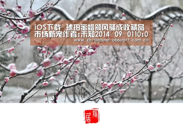 官方应用