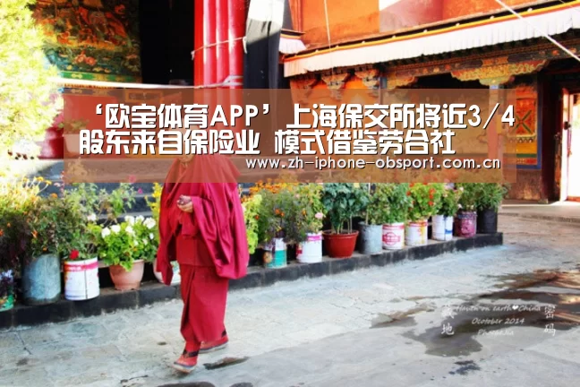 APP下载