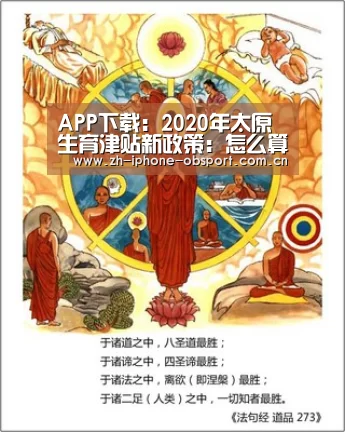 官方应用