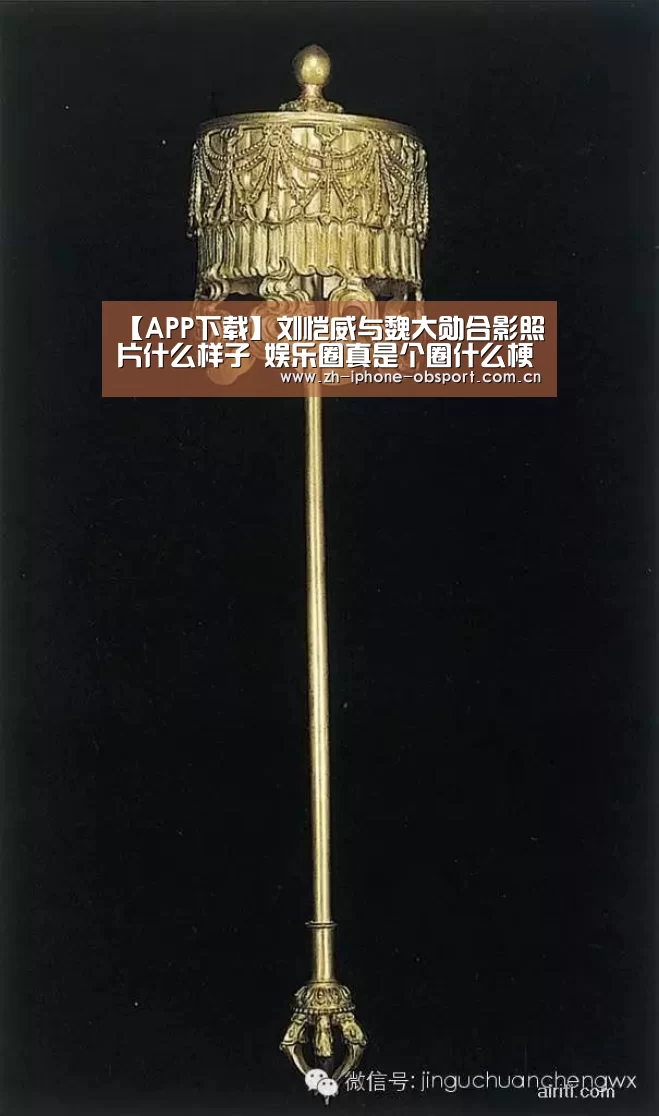 官方应用