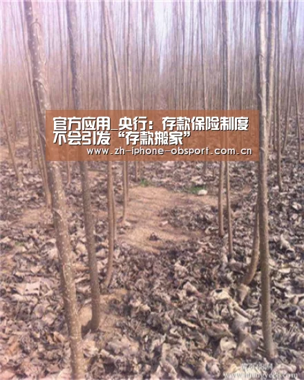 APP下载